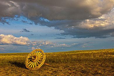 《小猫咪，大城市》现已正式登陆PlayStation主机平台